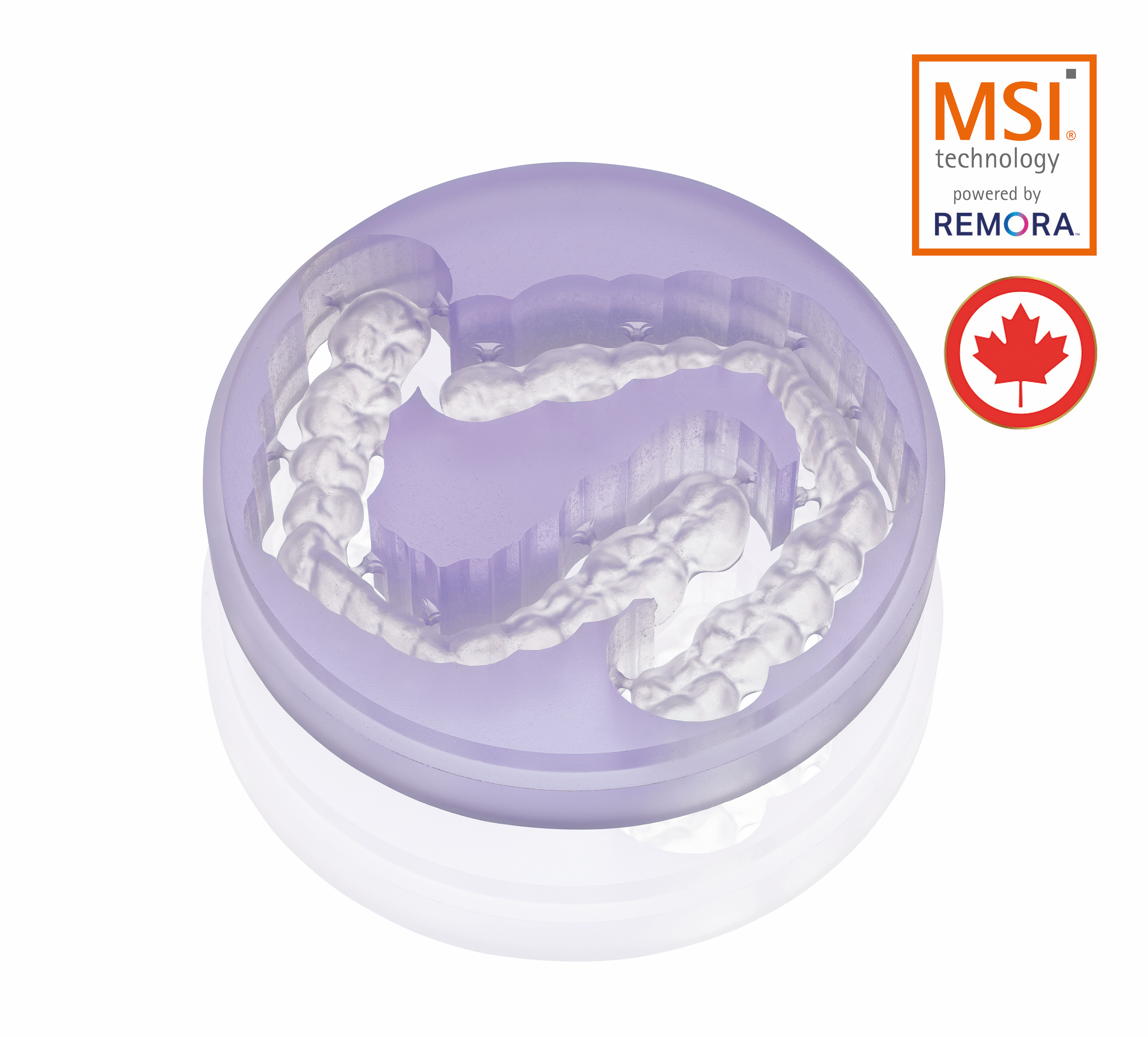 THERMEO_MSI_2560x2560 THERMEO® | MSI